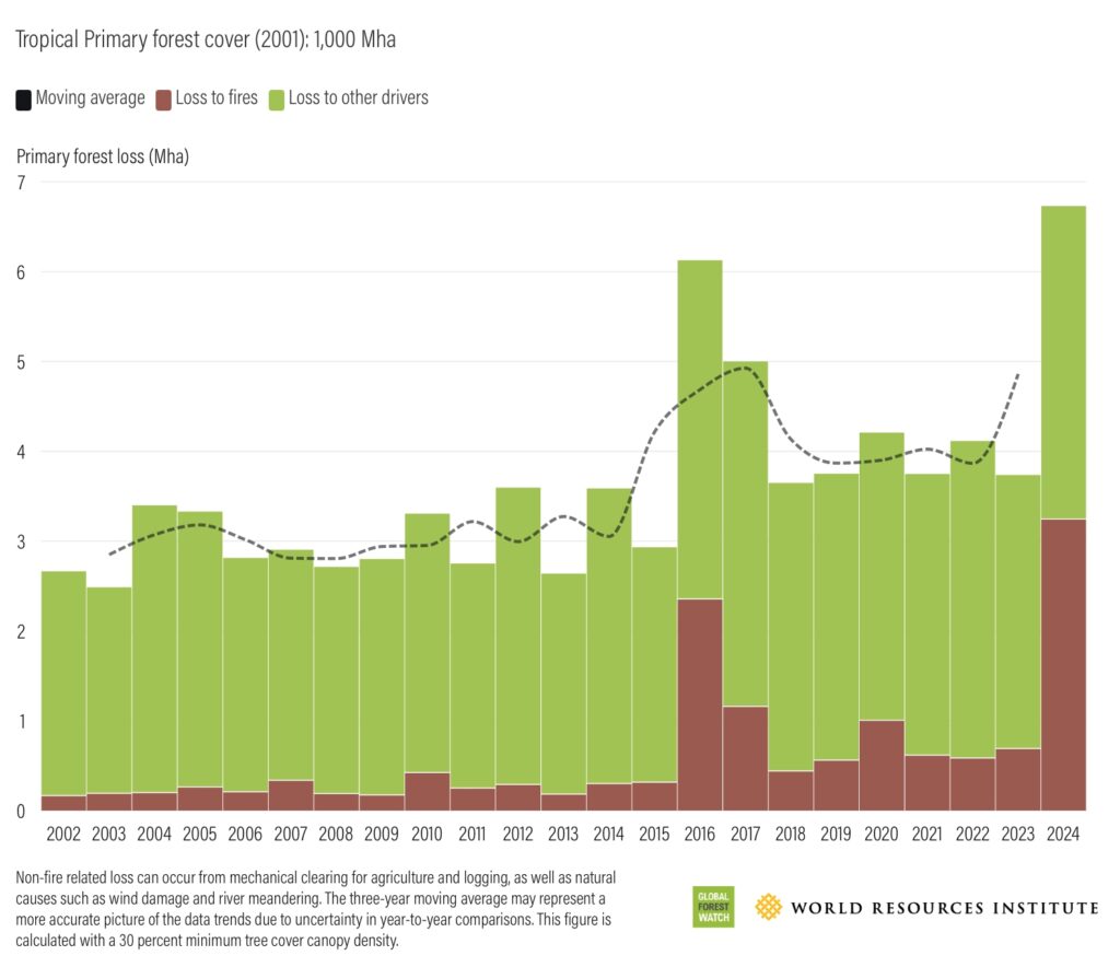 (図) 2002年～2024年までの熱帯林の減少面積 (世界資源研究所, 2024)