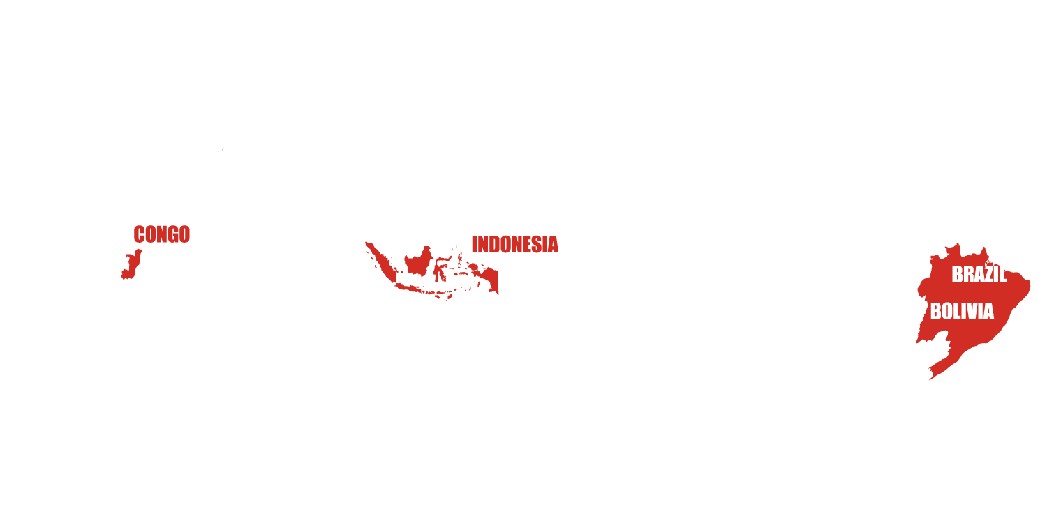 世界の森林減少地域の分布