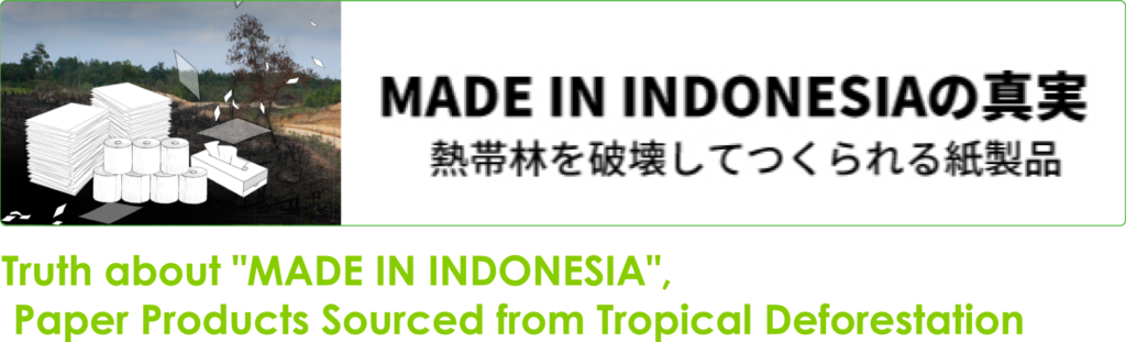 Truth about "MADE IN INDONESIA",Paper Priducts Sourced from Tropical Deforestation